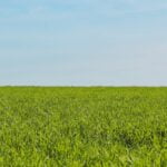 Conheça as vantagens do CRM para o Agronegócio