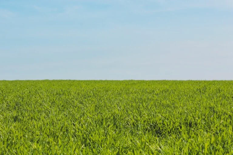 CRM e Agronegócio