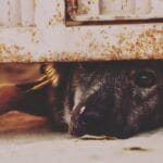 Gatekeeper: encontrando oportunidades nas vendas B2B